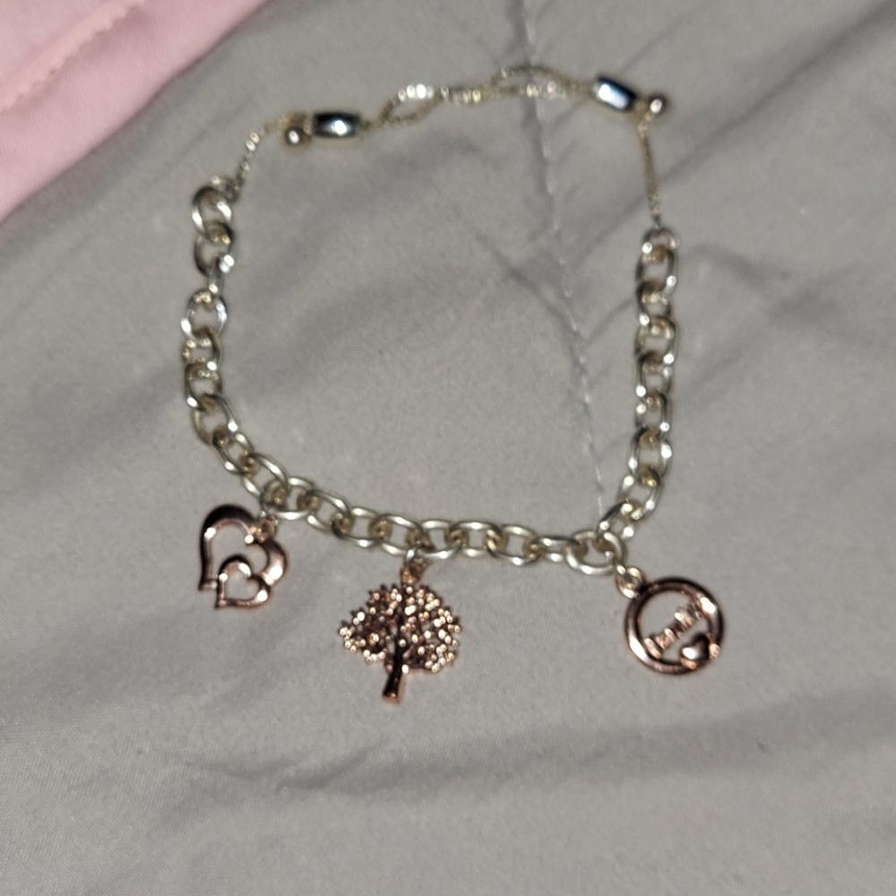alex and ani charm bracelet